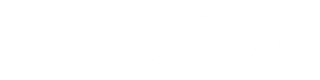 SalesOdin